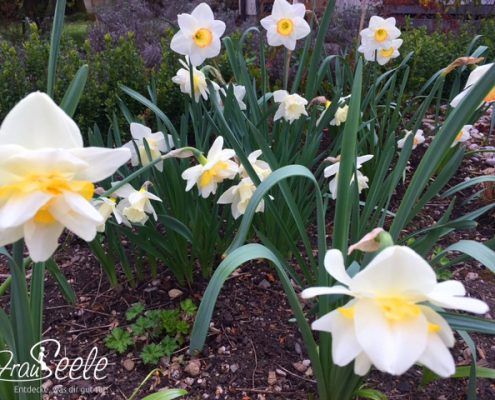 FrauSeele Gedanken zu Ostern