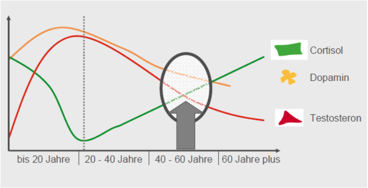 Wechseljahre Fettfalle