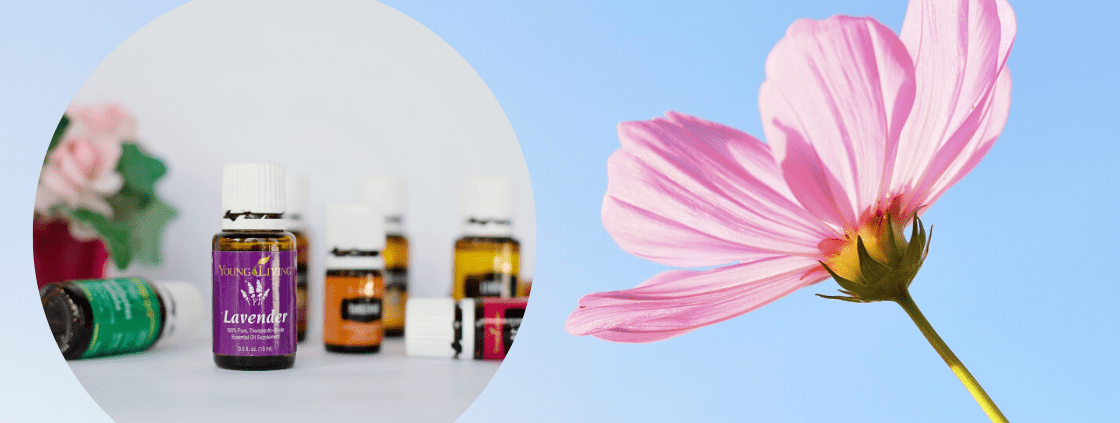 Ätherische Öle YoungLiving FrauSeele