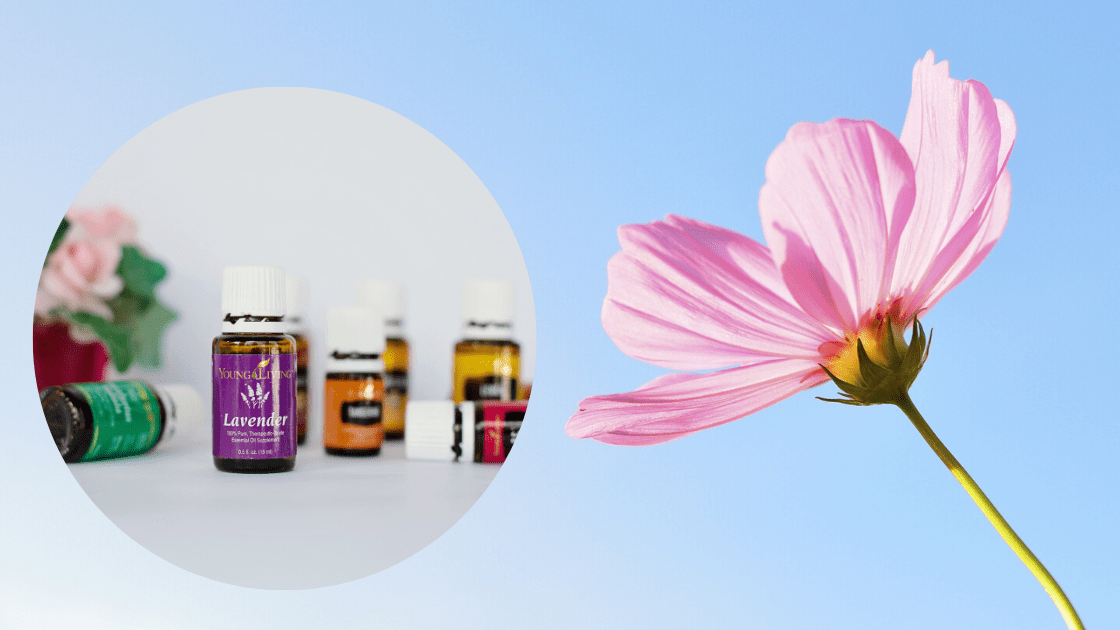 Ätherische Öle YoungLiving FrauSeele